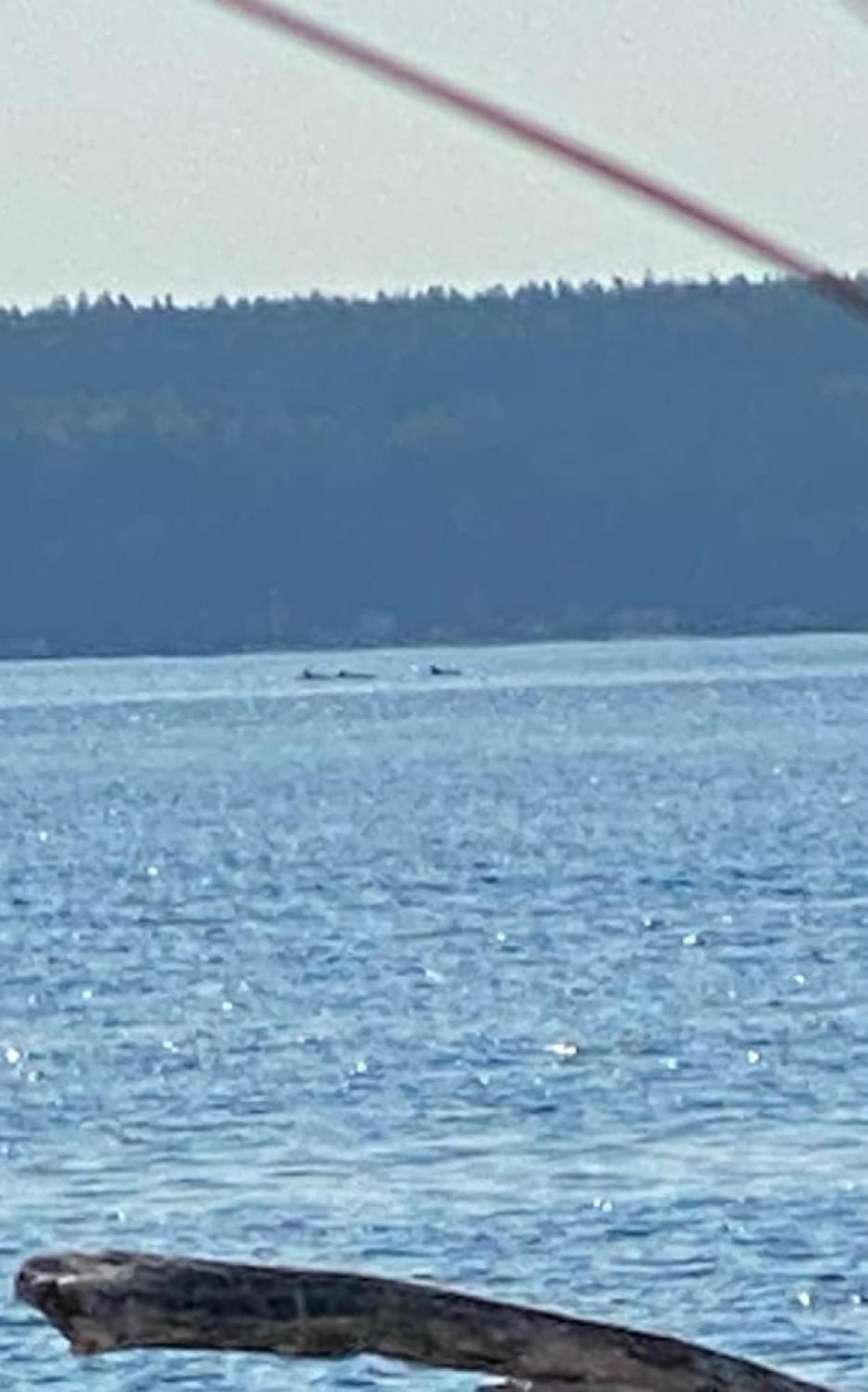 View Wd Downtown Harbor R And R *